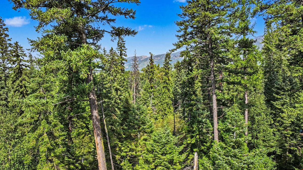 1.5 Acre Lot with Johnson Creek Frontage near Swan Lake