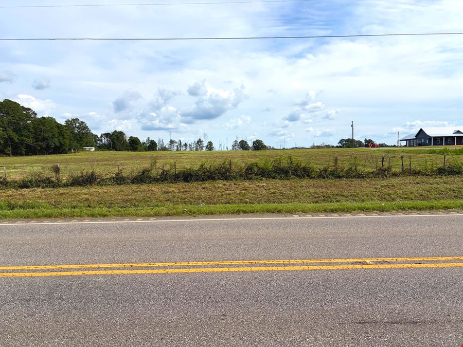 Rutledge Mini Farm