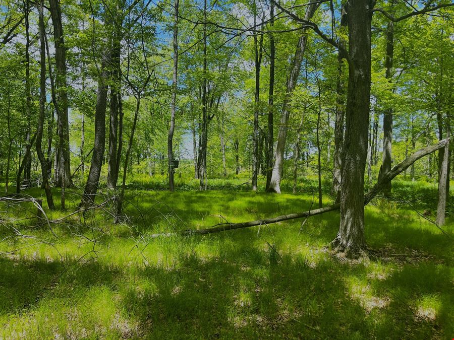 31.4 Acres of Private Recreational Land – Grass Lake/Sharon Township
