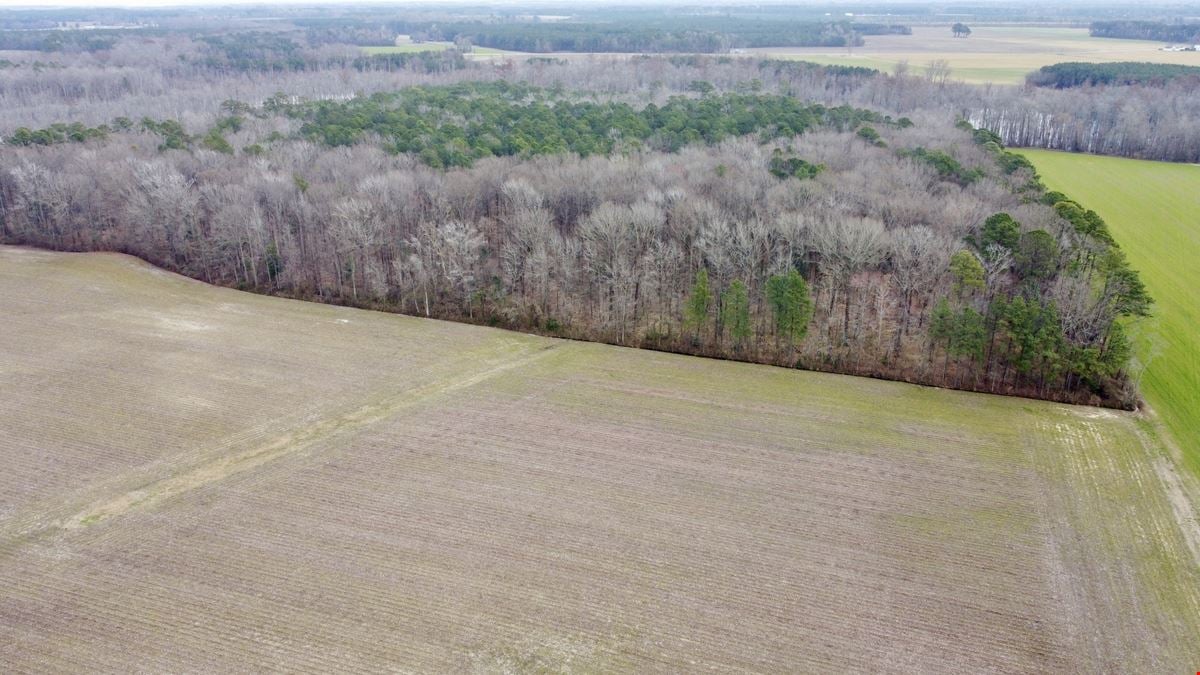 Ross Road 86 Acre Tract