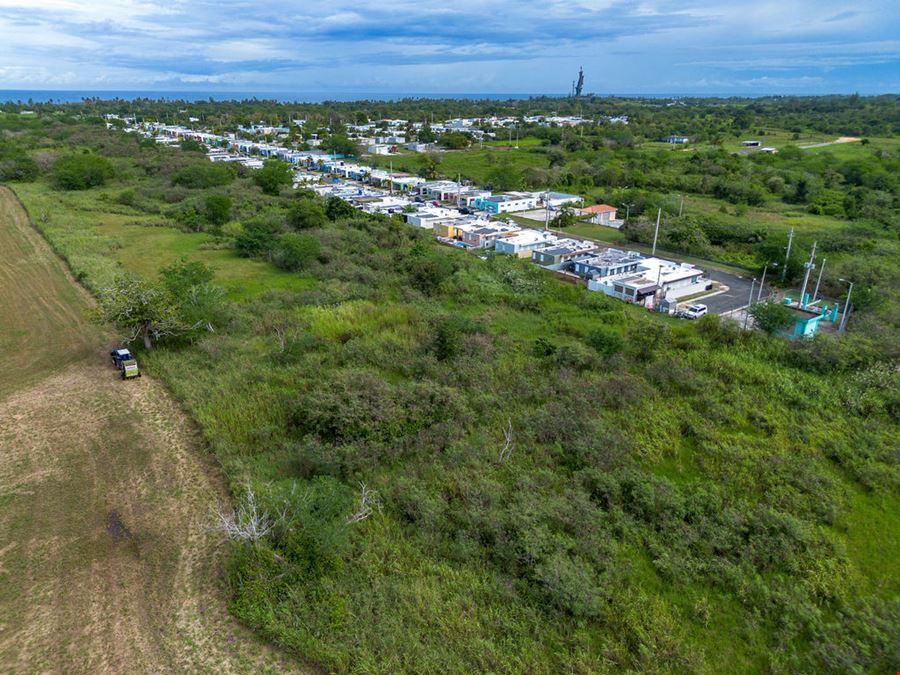 Residential Development Opportunity in Arecibo - 13.65 Acre Land