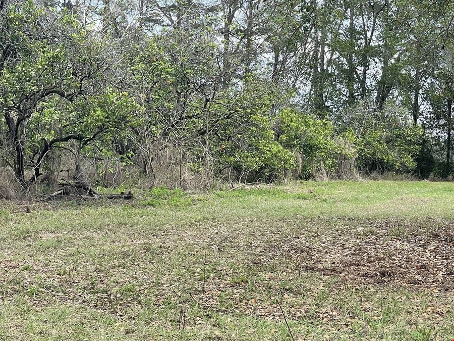 Weirsdale 30 Acre Tract