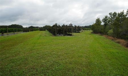Preview of VacantLand space for Sale at Douglas Rd