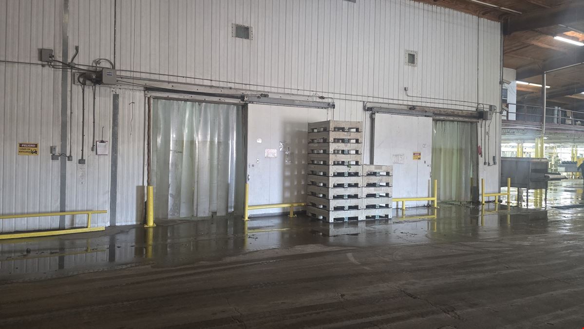 VAL VERDE VEGETABLE CO, INC-2200 Trophy Drive