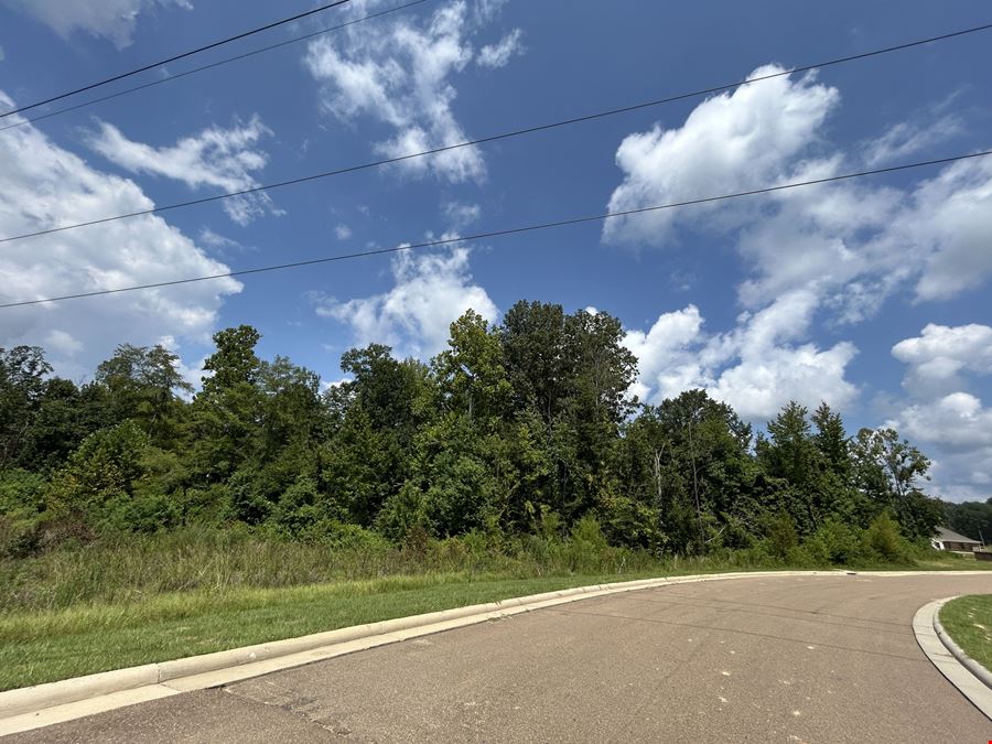 6.02 Acres Lakeland Drive