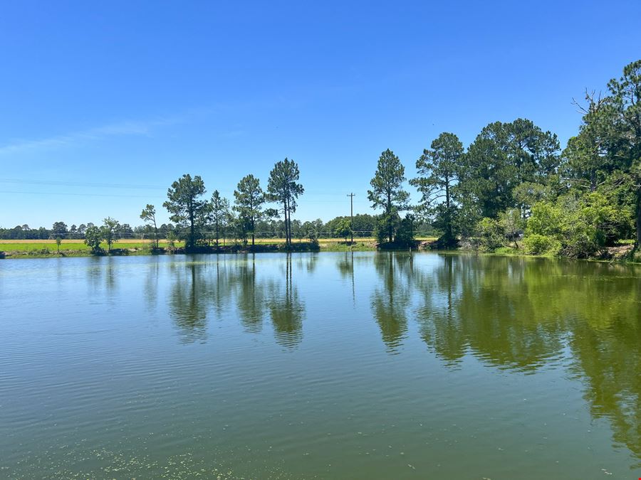 Ellenton Irrigated Farm