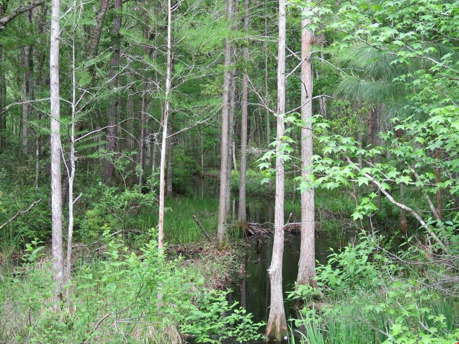 McGee Branch West Tract