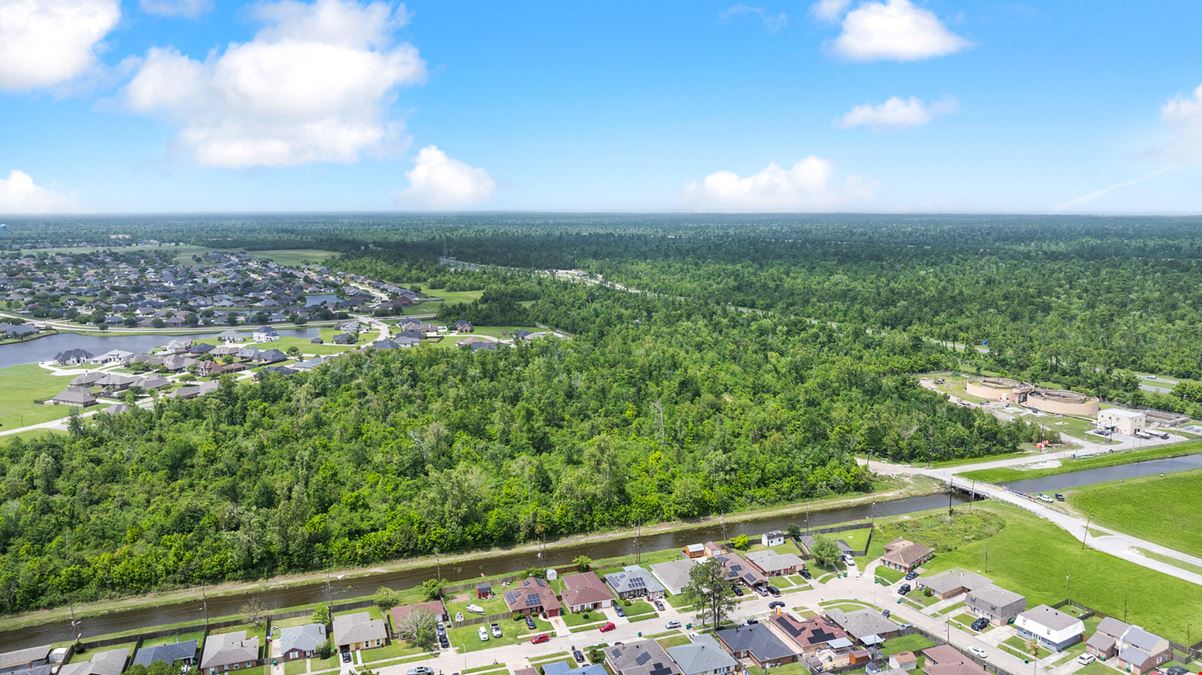 234.1847+/- acres Parcel C & D, Belle Terre Boulevard