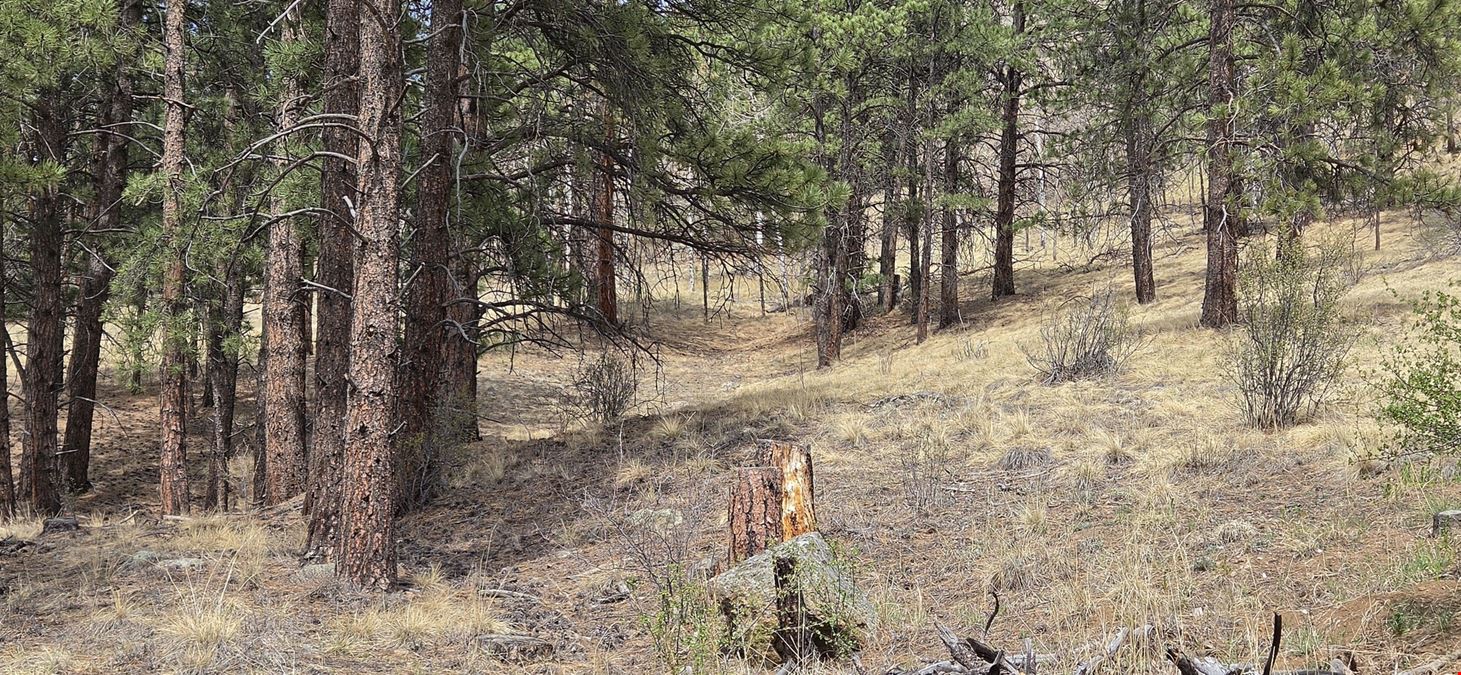 15+ Acres of Commercial Land