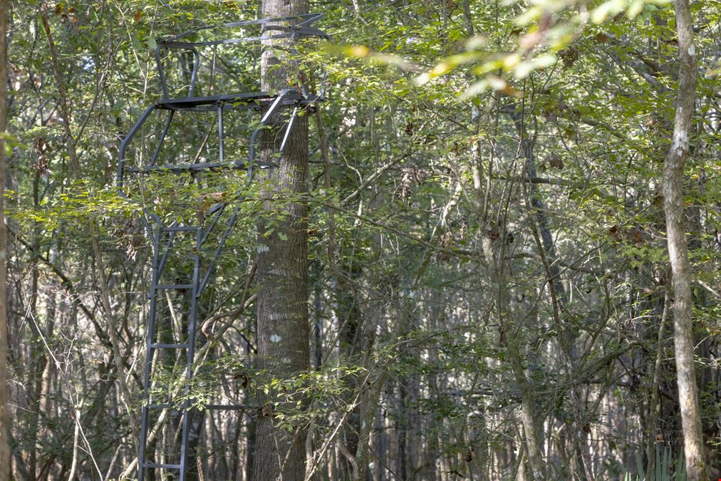 Dodge County River Property