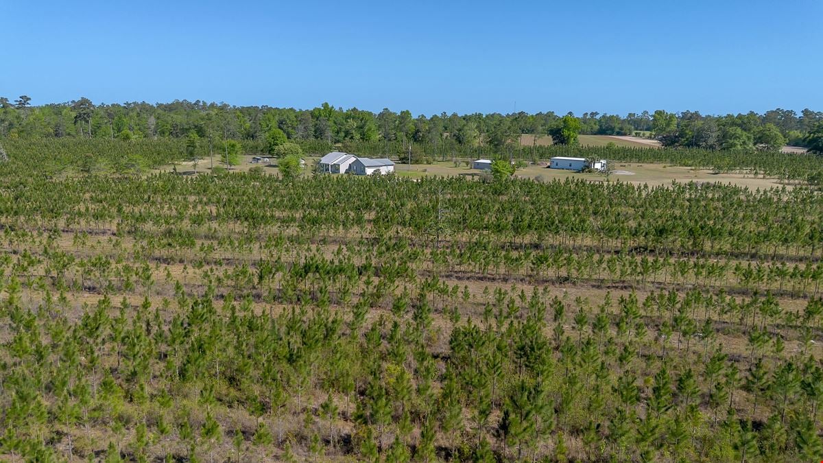 41+/- AC Residence, Farm, Timber + 1200 SF & 1800 SF storage buildings