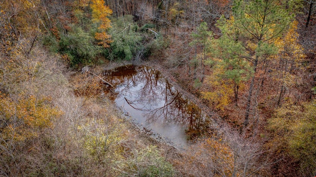 Mountain Pine Development Land