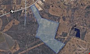 For Sale I ±283 Acres on FM 2004