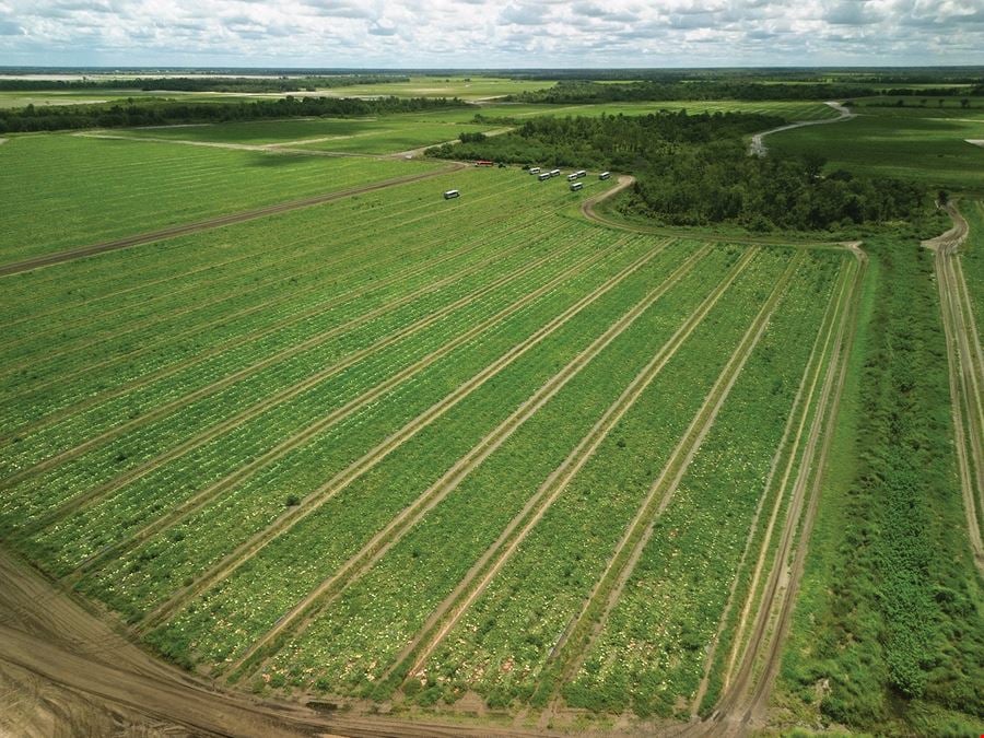 Manatee County Farm Land