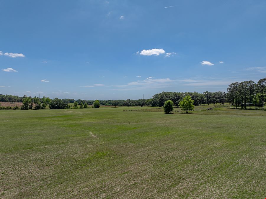 Alachua Transitional Acreage