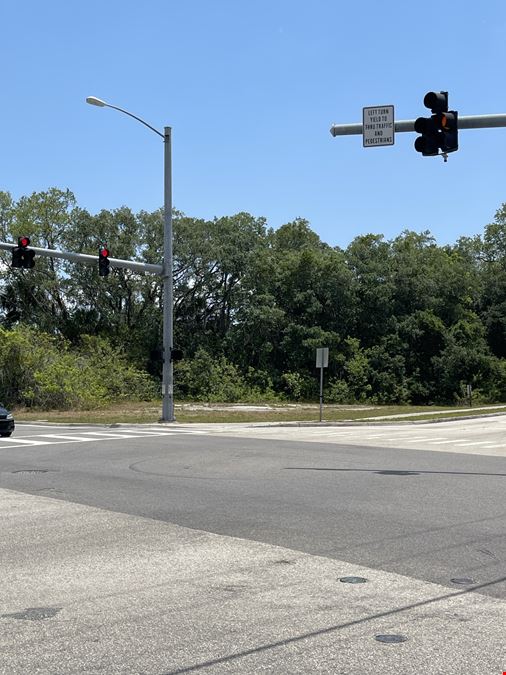 Corner of Dairy Road and Singleton Ave