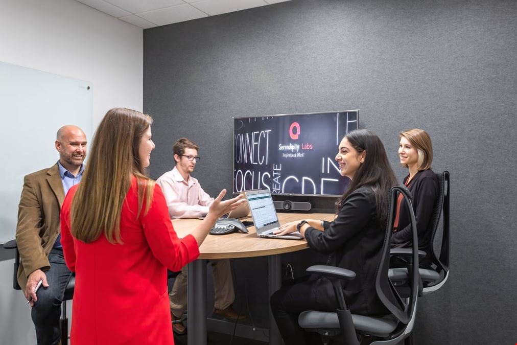 Serendipity Labs - White Plains