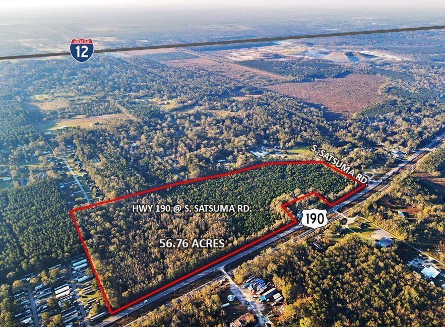 Hwy 190 at Satsuma Rd with Access to I-12- 56.76 Acres For Sale