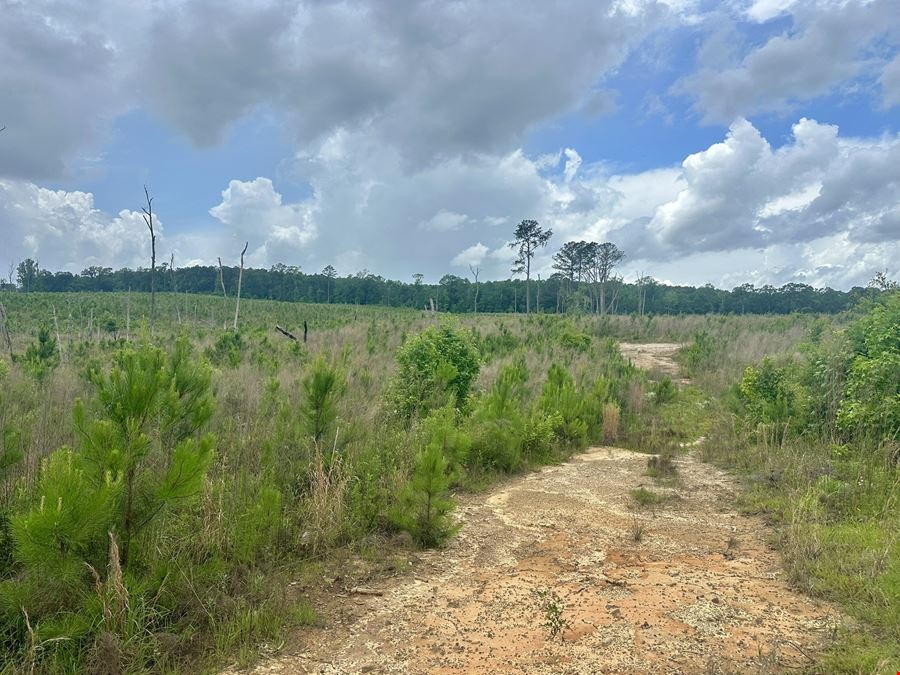 The Turner Tract