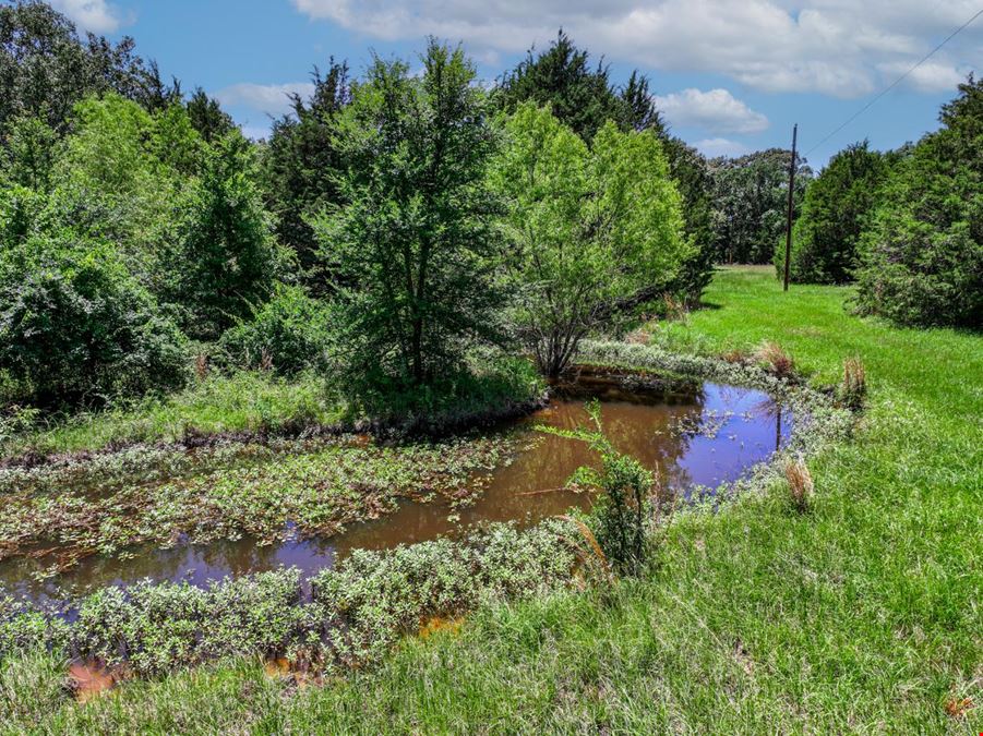 Land for Sale in Wills Point