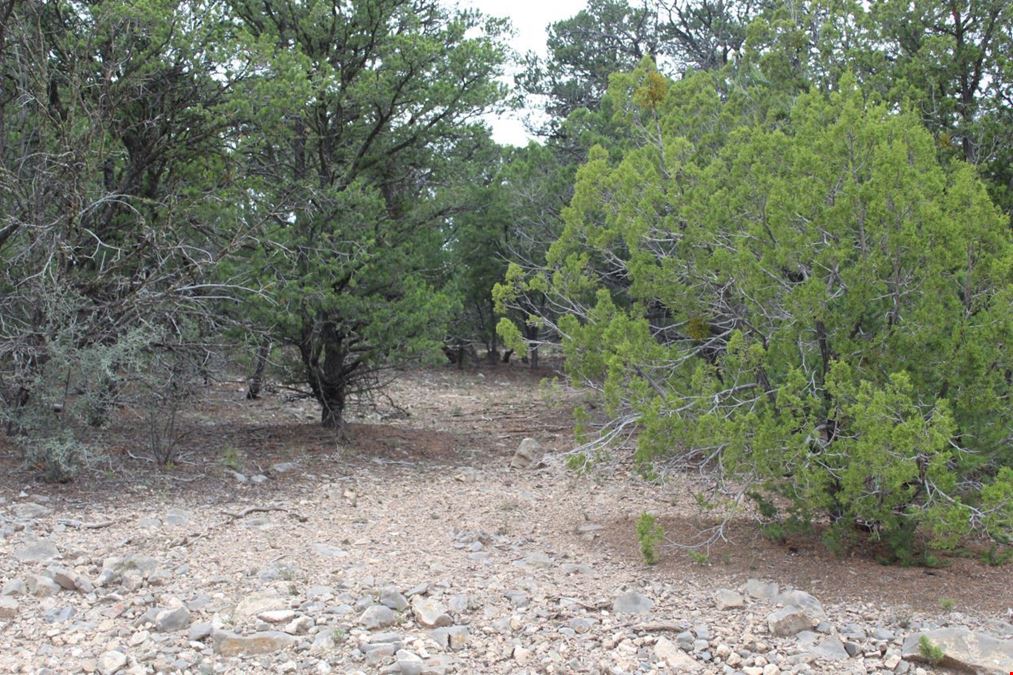5 Manzano Loop