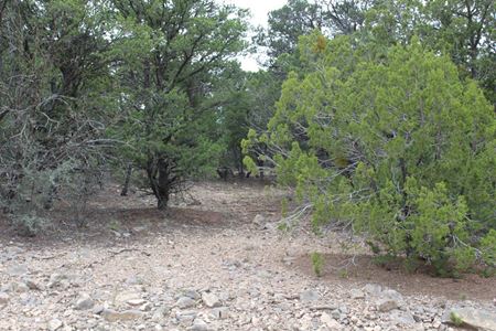 Preview of VacantLand space for Sale at 5 Manzano Loop