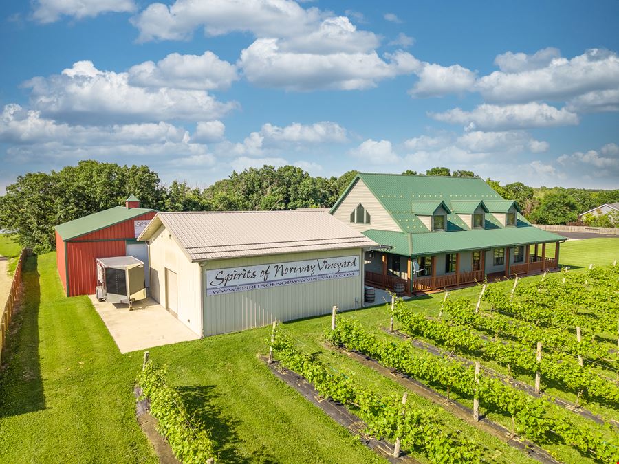 Spirits of Norway Vineyard