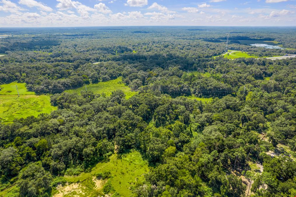 48.54 Acres on I-75