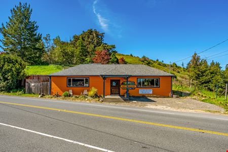 Preview of Retail space for Sale at 17235 Bodega Hwy
