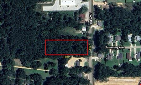 Preview of VacantLand space for Sale at 76403 Louisiana 437