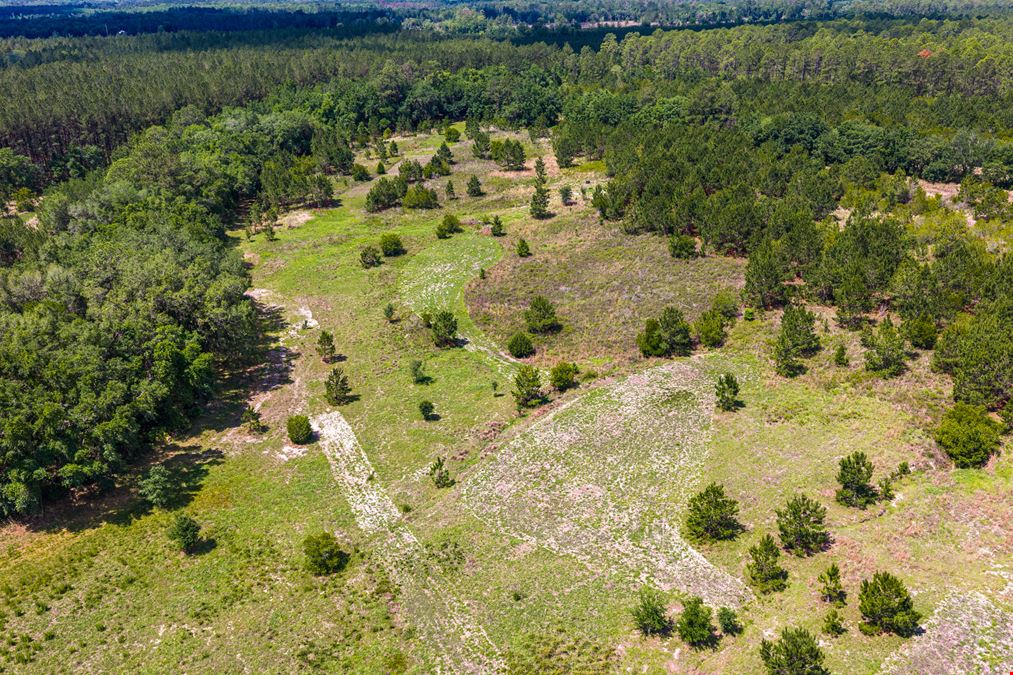 East Alachua County 35 Acre Recreation Tract