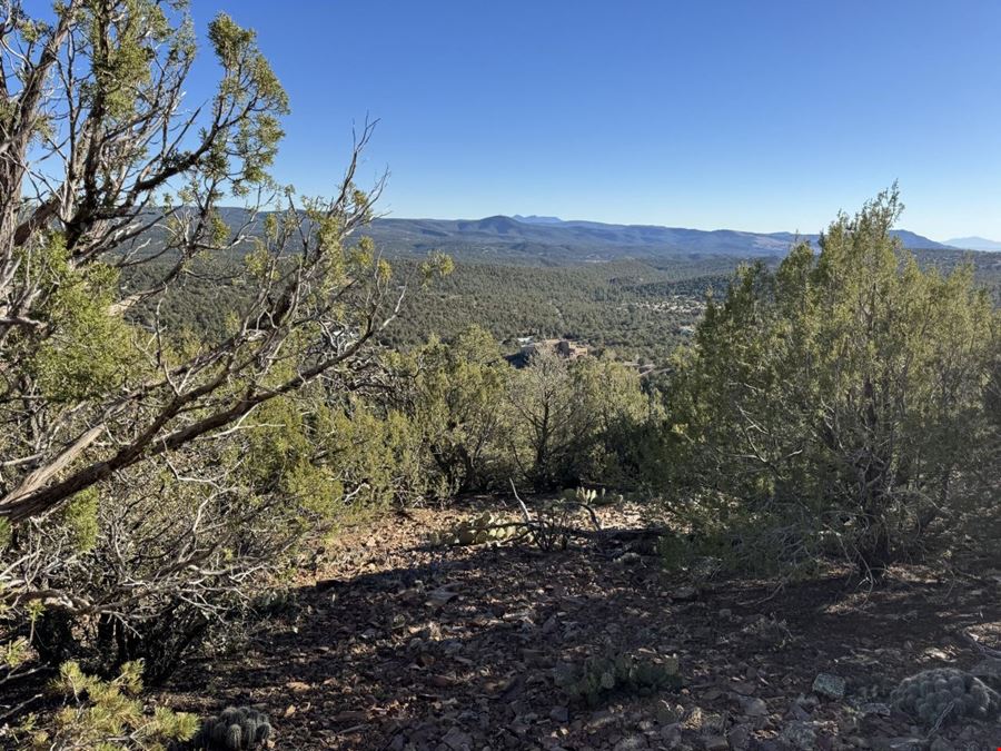 201 Pinon Trail