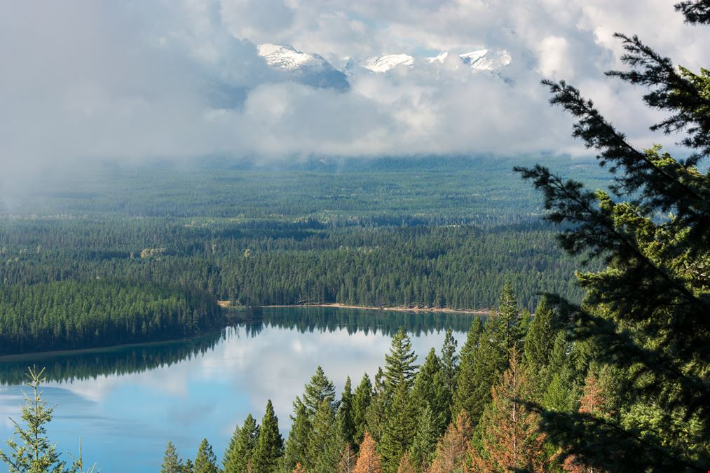 360 Acres of Prime Growing Ground in Montana's Swan Valley