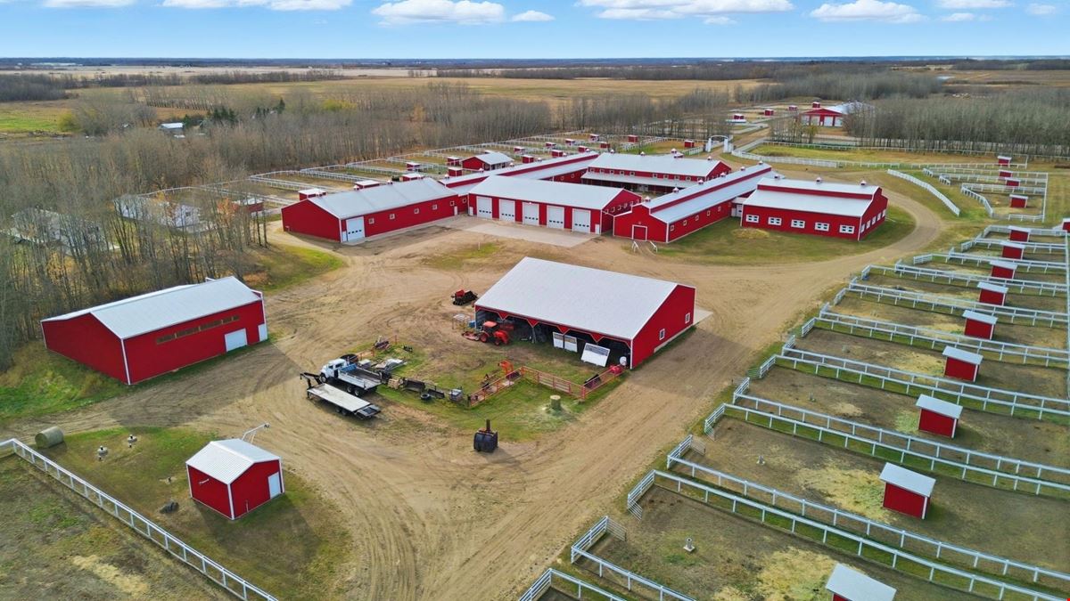 World-Class Equestrian in Central Alberta (Canada)