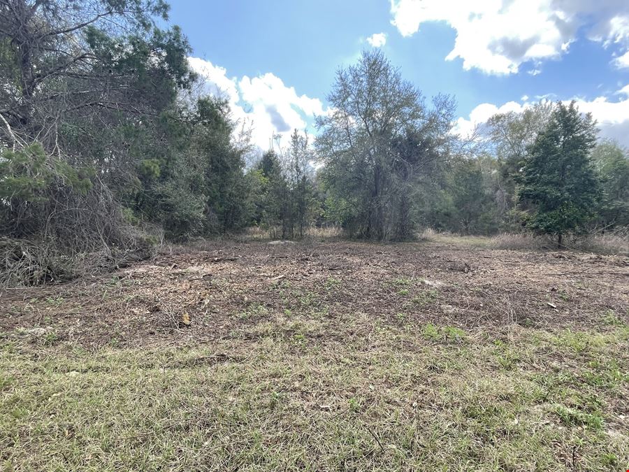 Weirsdale 30 Acre Tract