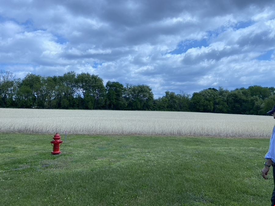 16 CONTIGUOUS ACRES in Greenwich, NJ