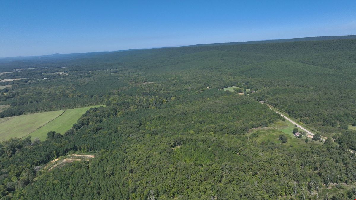 South Fourche Hunting, Fishing & Timber