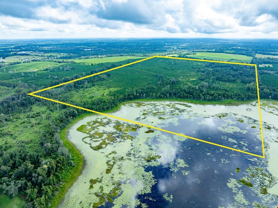 Lake Rachel Timberland
