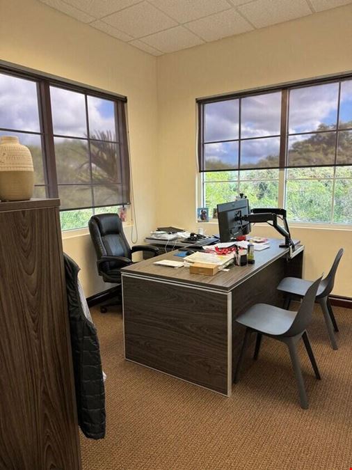 Professional Office