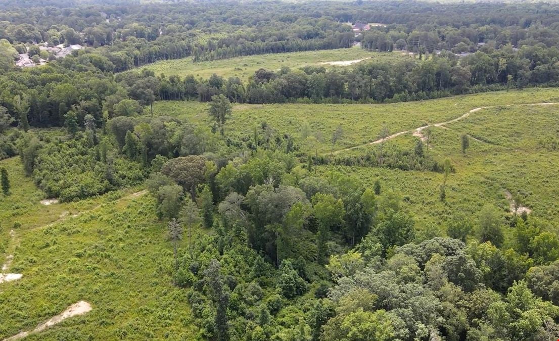 158.69 Acres - Iris Pointe