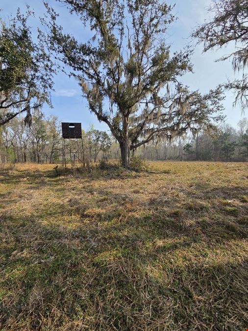 820± Acre Hunting & Recreational Property in Perry FL