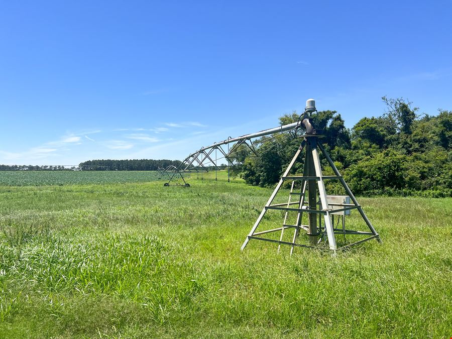Ellenton Irrigated Farm