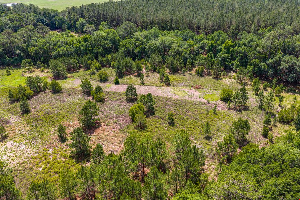 East Alachua County 35 Acre Recreation Tract