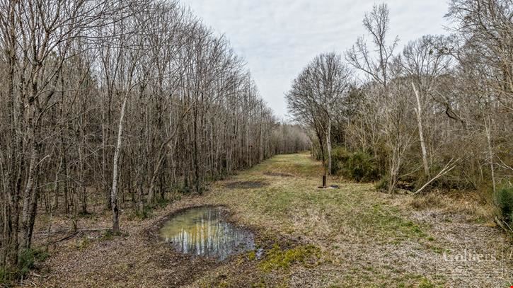 ±53.70-Acre Recreational Tract for Sale in Clinton, SC
