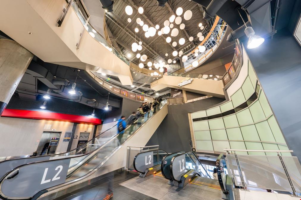 The Tenor - Retail