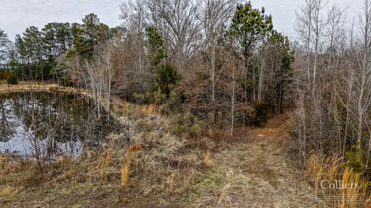 ±53.70-Acre Recreational Tract for Sale in Clinton, SC