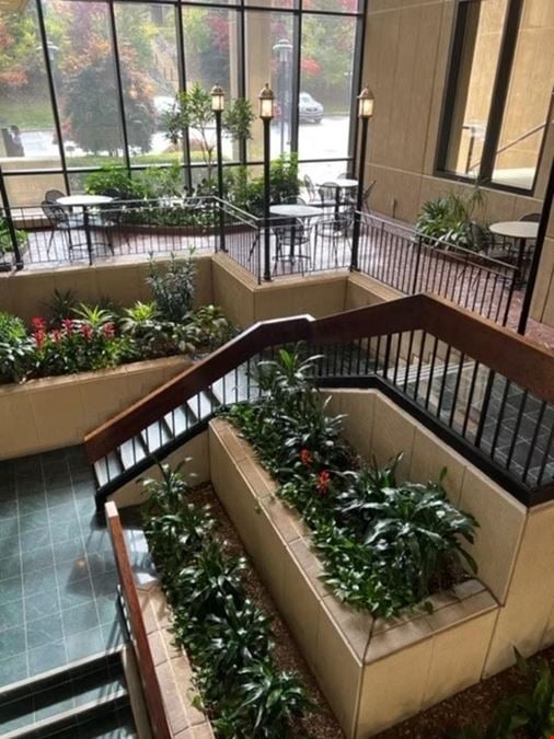 1767 SF Suite 645 Professional and Medical Office Space