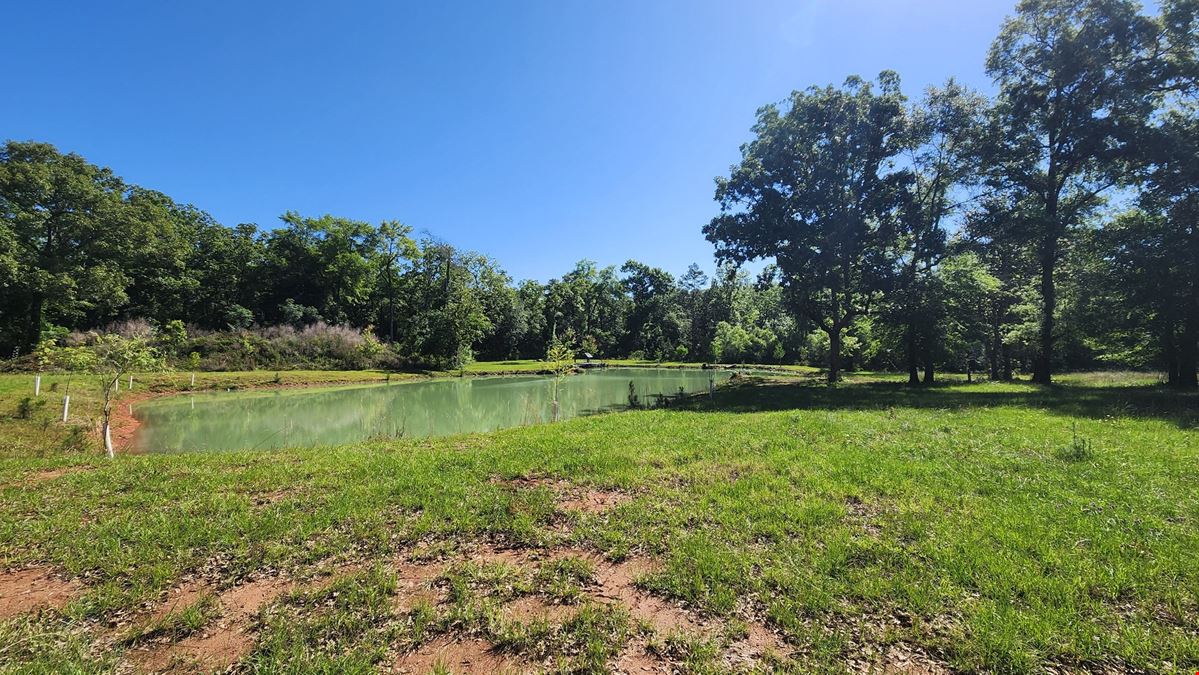 Melton Mill Farm & Cabin