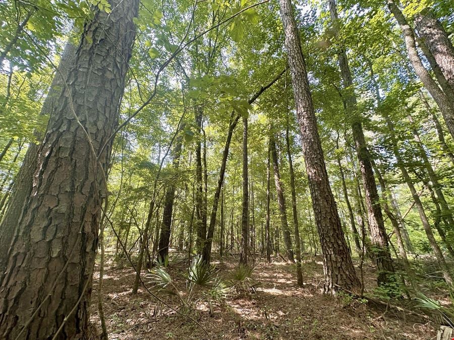 Meriwether Rd Tract