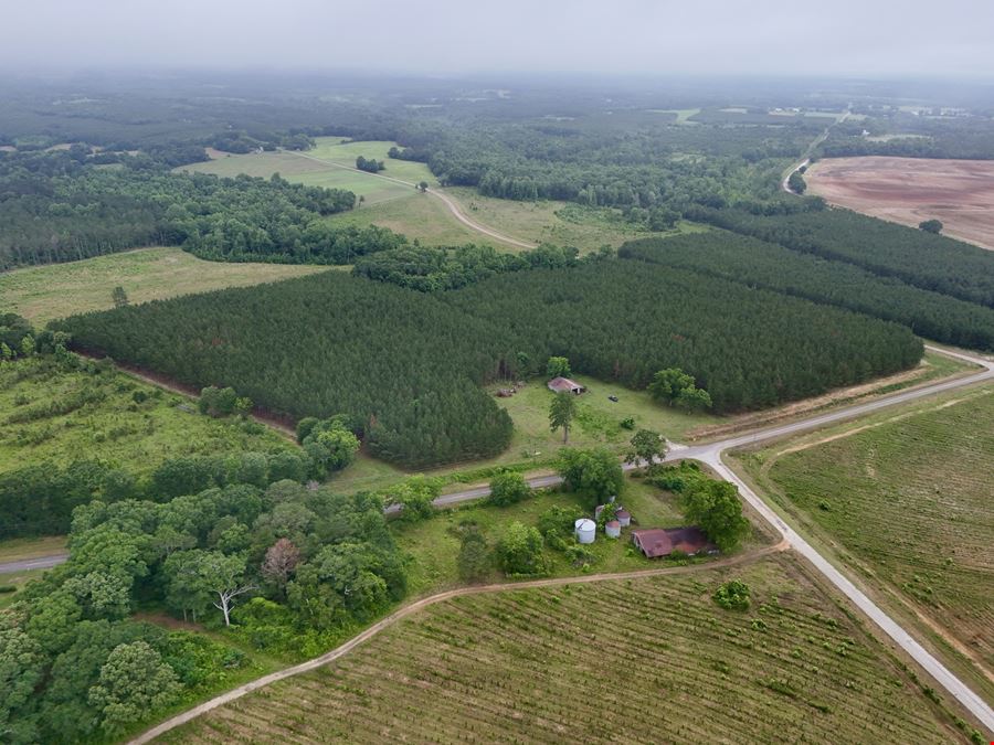 Searcy Branch Timber and Rec